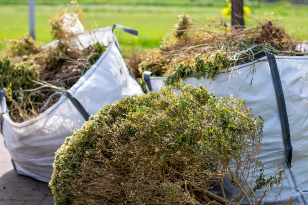 Best Attic Cleanout Services  in Hampton, IA